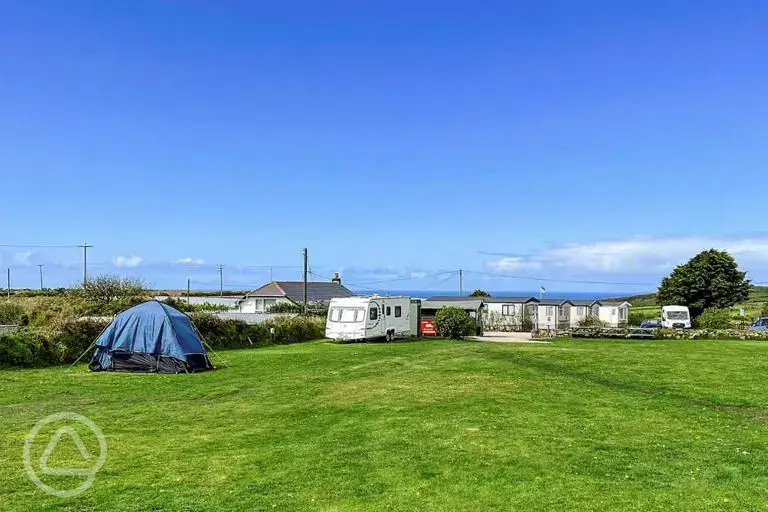 Electric grass pitches