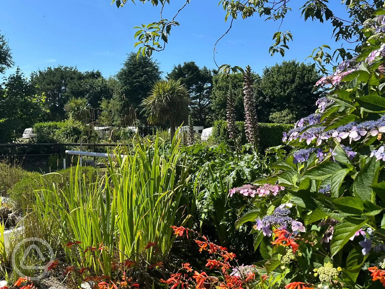 Garden areas