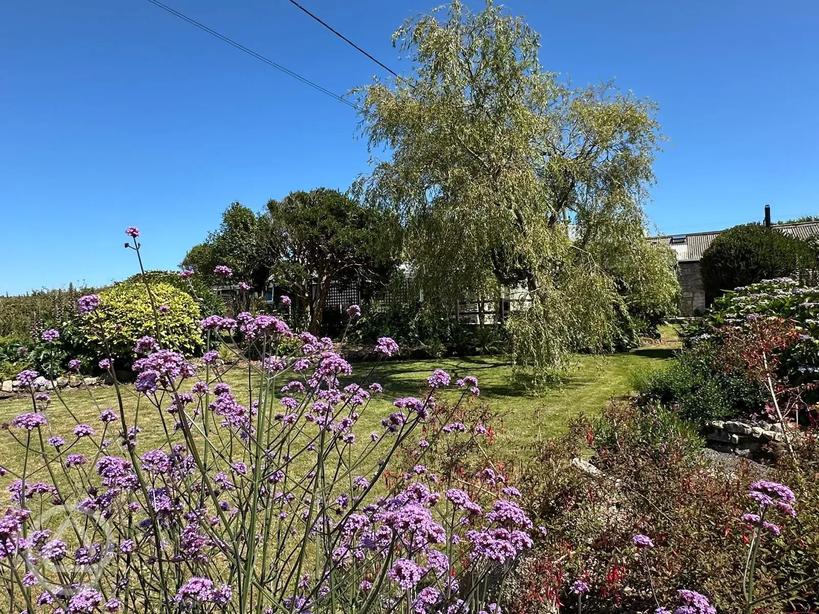 Garden areas