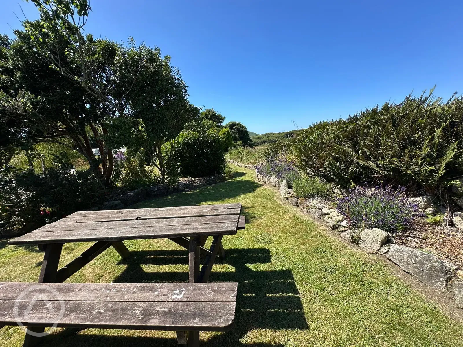 Picnic benches