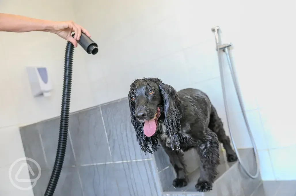 Dog wash