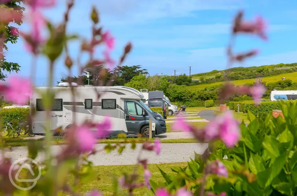 Electric hardstanding pitches