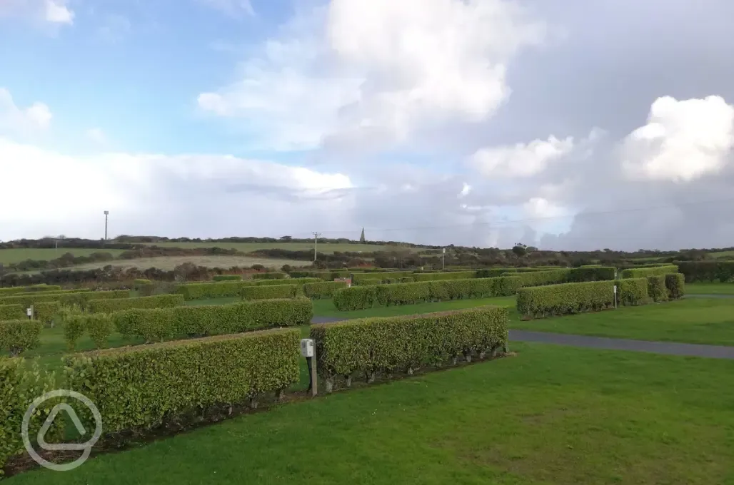 Electric grass pitches
