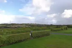 Electric grass pitches