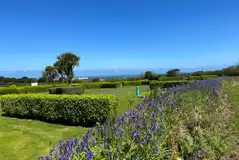 Fully serviced grass pitches with hedging 