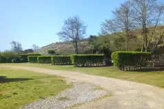 Fully serviced grass pitches with privacy hedging