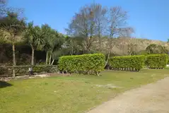 Fully serviced grass pitches with privacy hedging