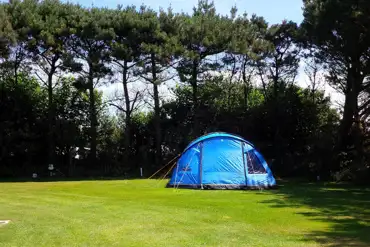 Electric grass tent pitches