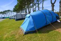 Electric grass tent pitches