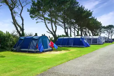 Electric grass pitches (10m x 10m)