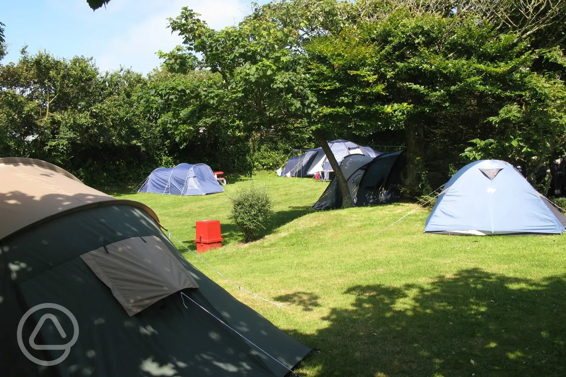 Grass pitches in The Orchard