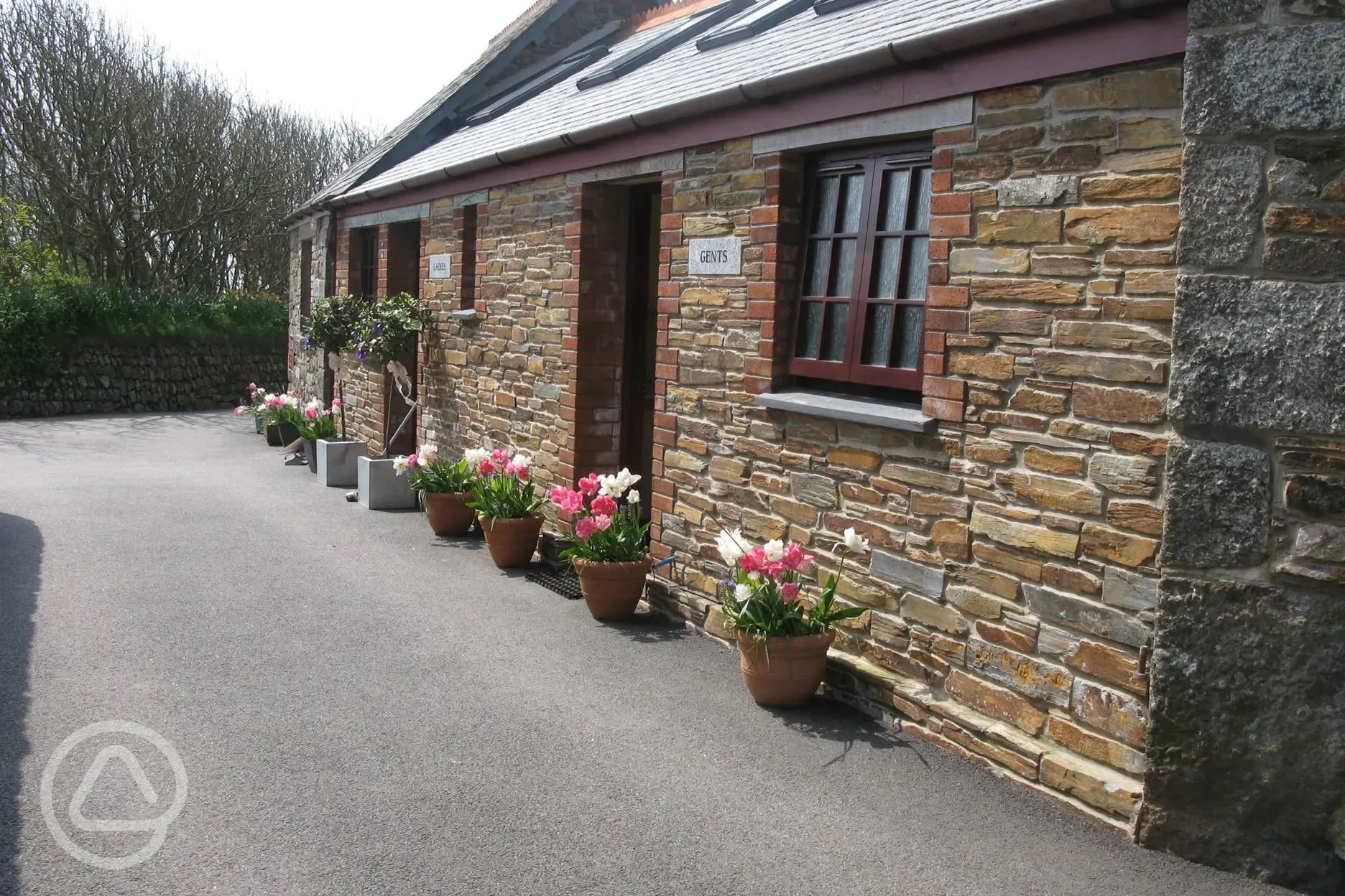 Main shower and toilet facilities