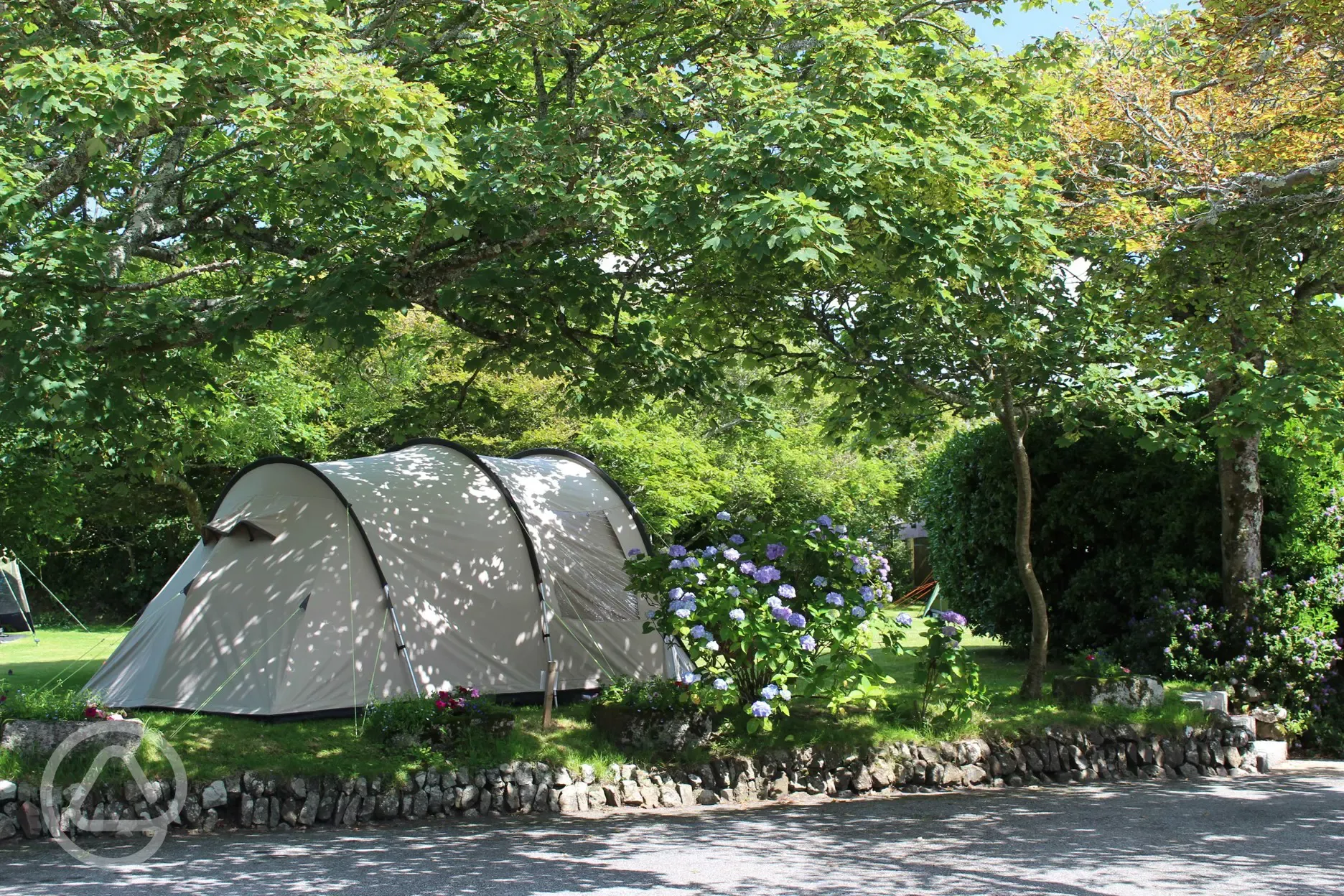 Grass pitches in The Orchard