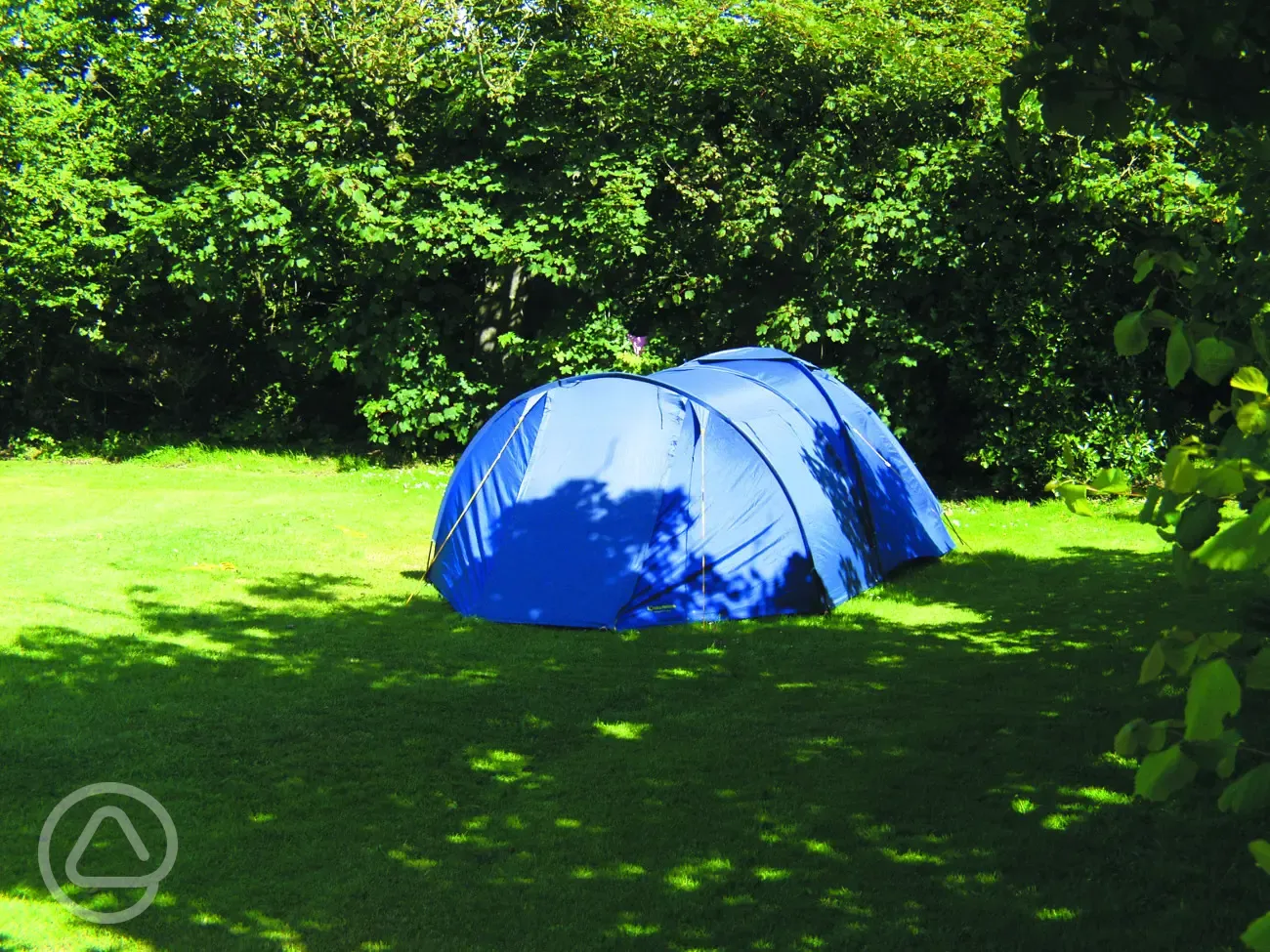 Grass pitches on The Lawn, reserved for backpackers