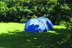 Grass pitches on The Lawn, reserved for backpackers