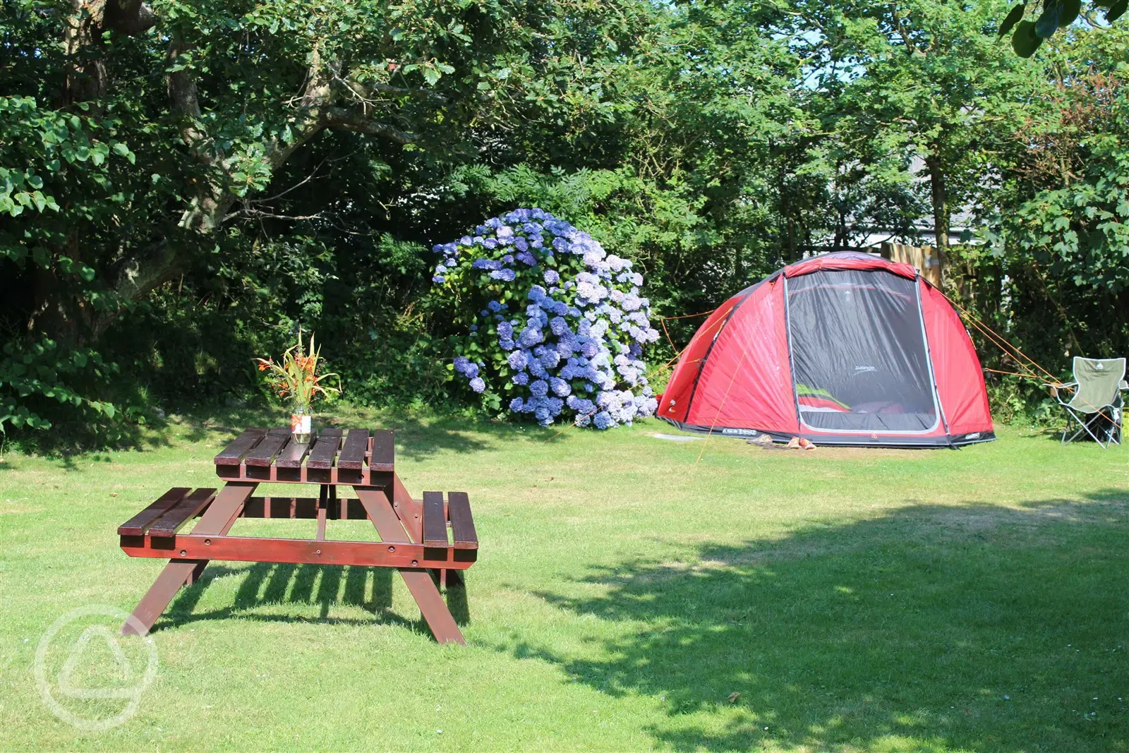 Grass pitches in The Orchard