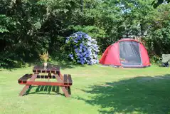 Grass pitches in The Orchard