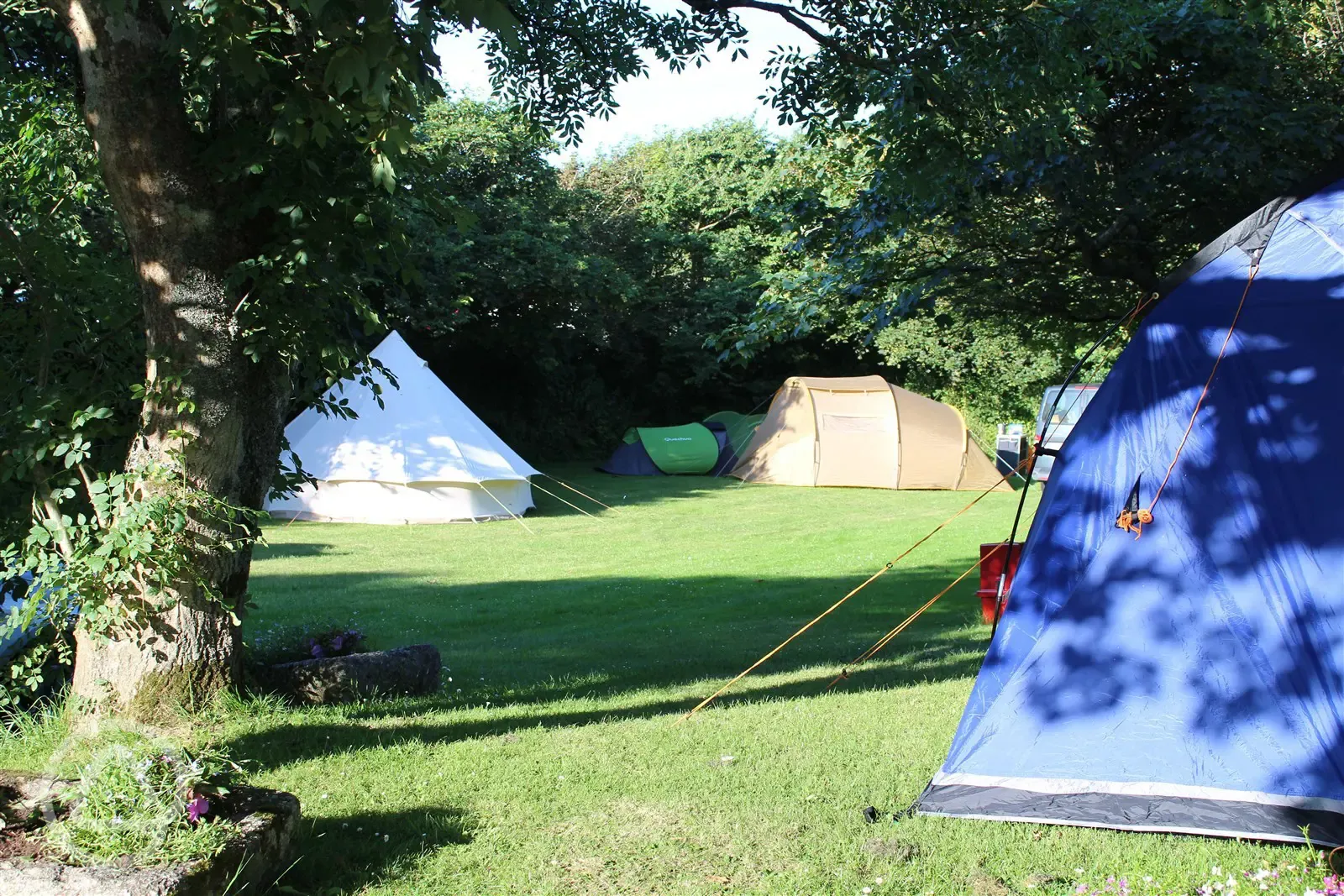 Grass pitches in The Orchard