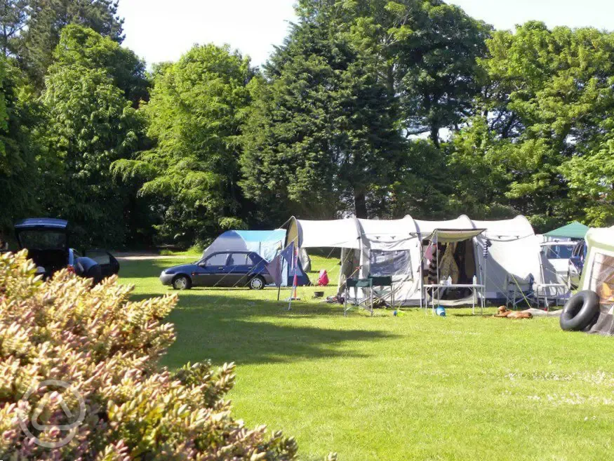 Non electric grass pitches in Barn Park