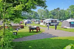 Grass pitches