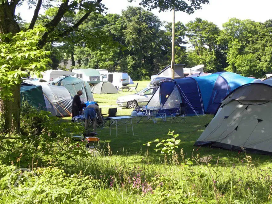 Non electric grass pitches in Barn Park