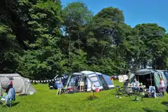 Electric grass pitches in Calves Close