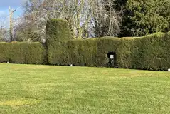 Electric grass touring pitches Electric grass touring pitches