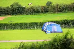 Non electric grass pitches with hedged borders Non electric grass pitches with hedged borders