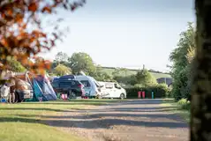 Electric grass pitches Electric grass pitches