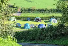 Electric grass pitches with 10 amp hook ups