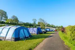 Non electric grass pitches (11m x 10m)