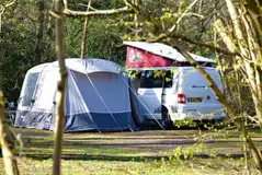 Electric pitches set amongst the woodland