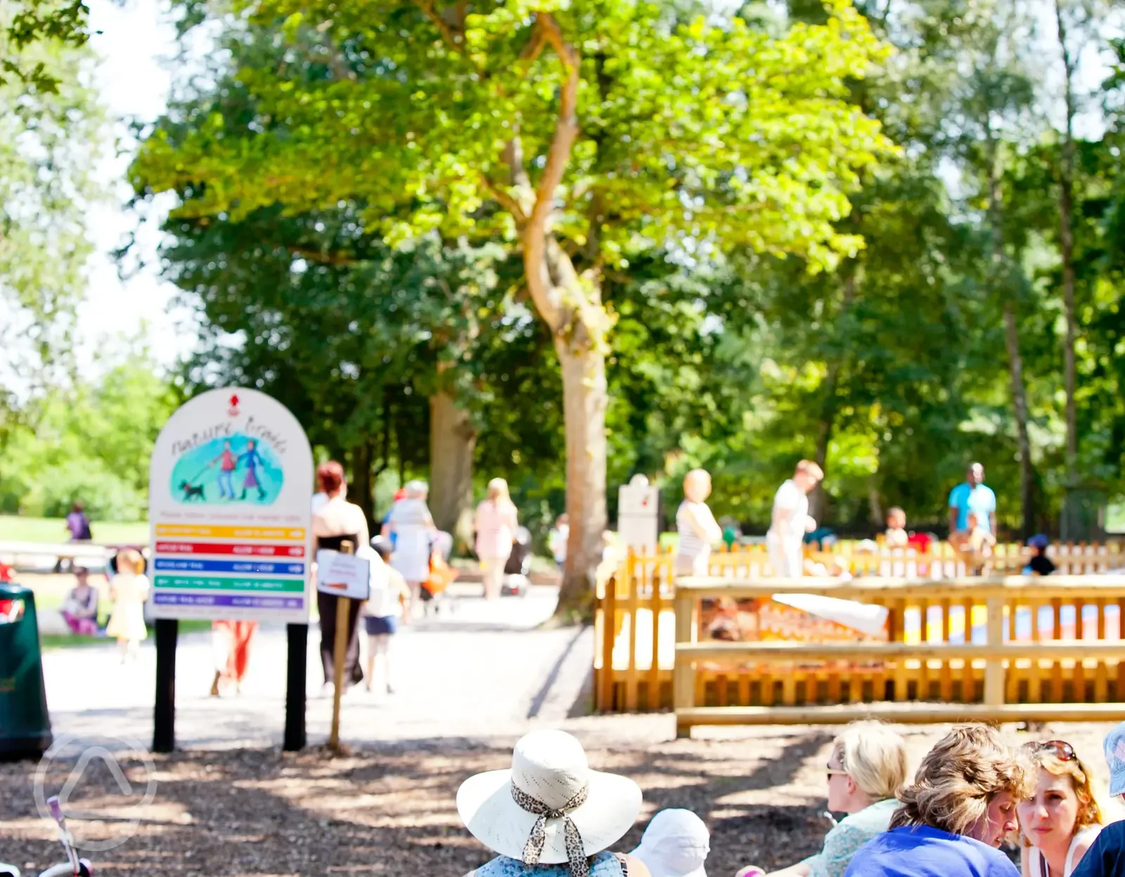 Picnic in the Park