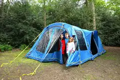Non electric tent pitches amongst the woodland area