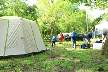Non electric tent pitches amongst the woodland area