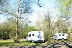 Electric pitches set amongst the woodland