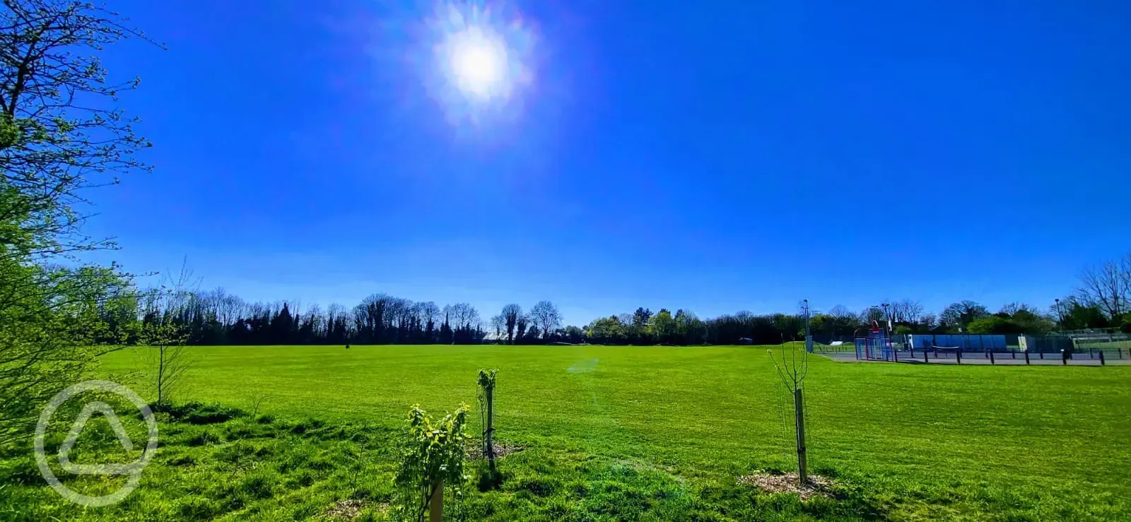 Views from site