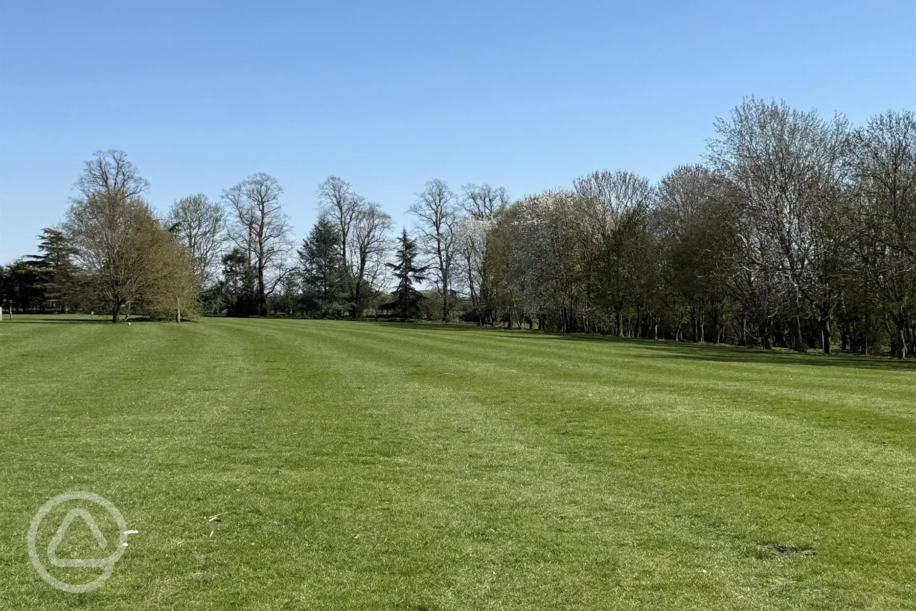 Views from site