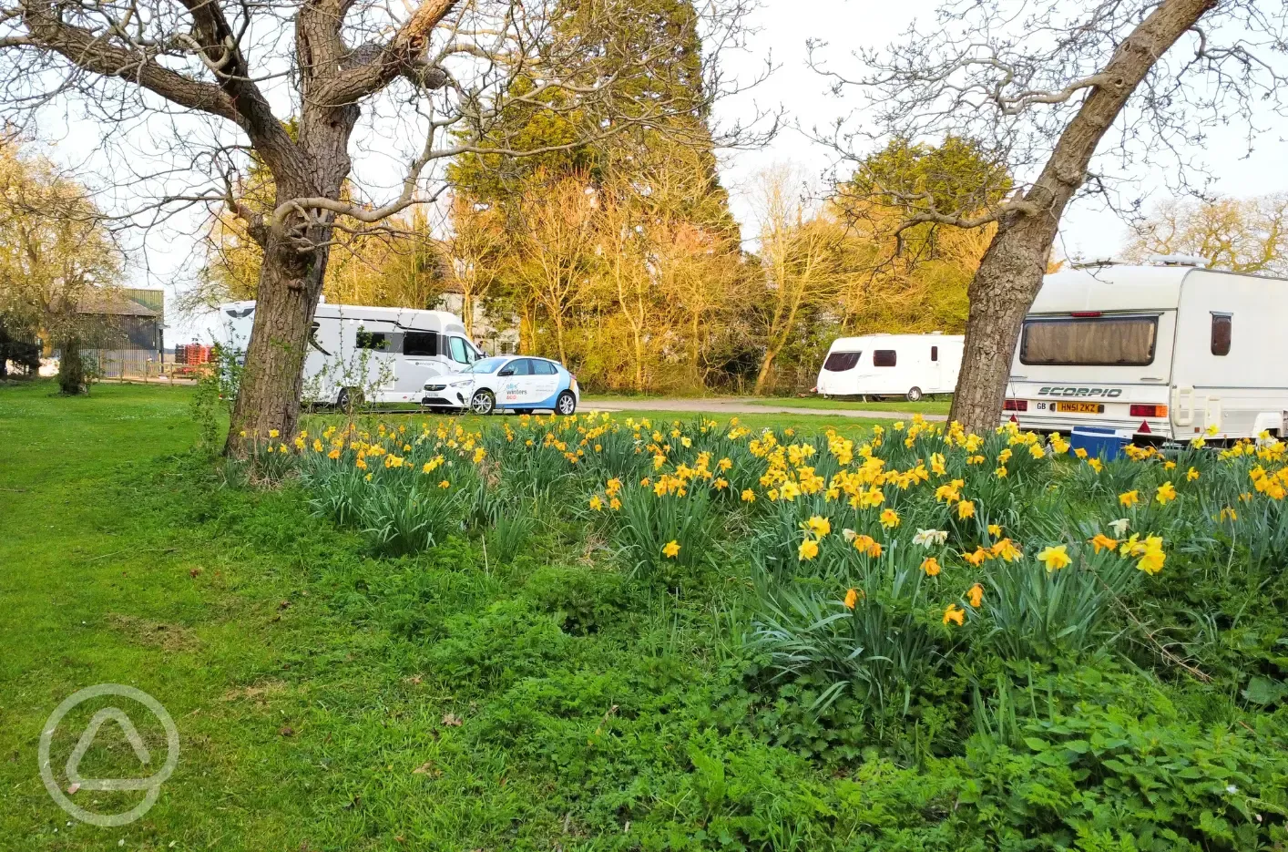 Grass pitches