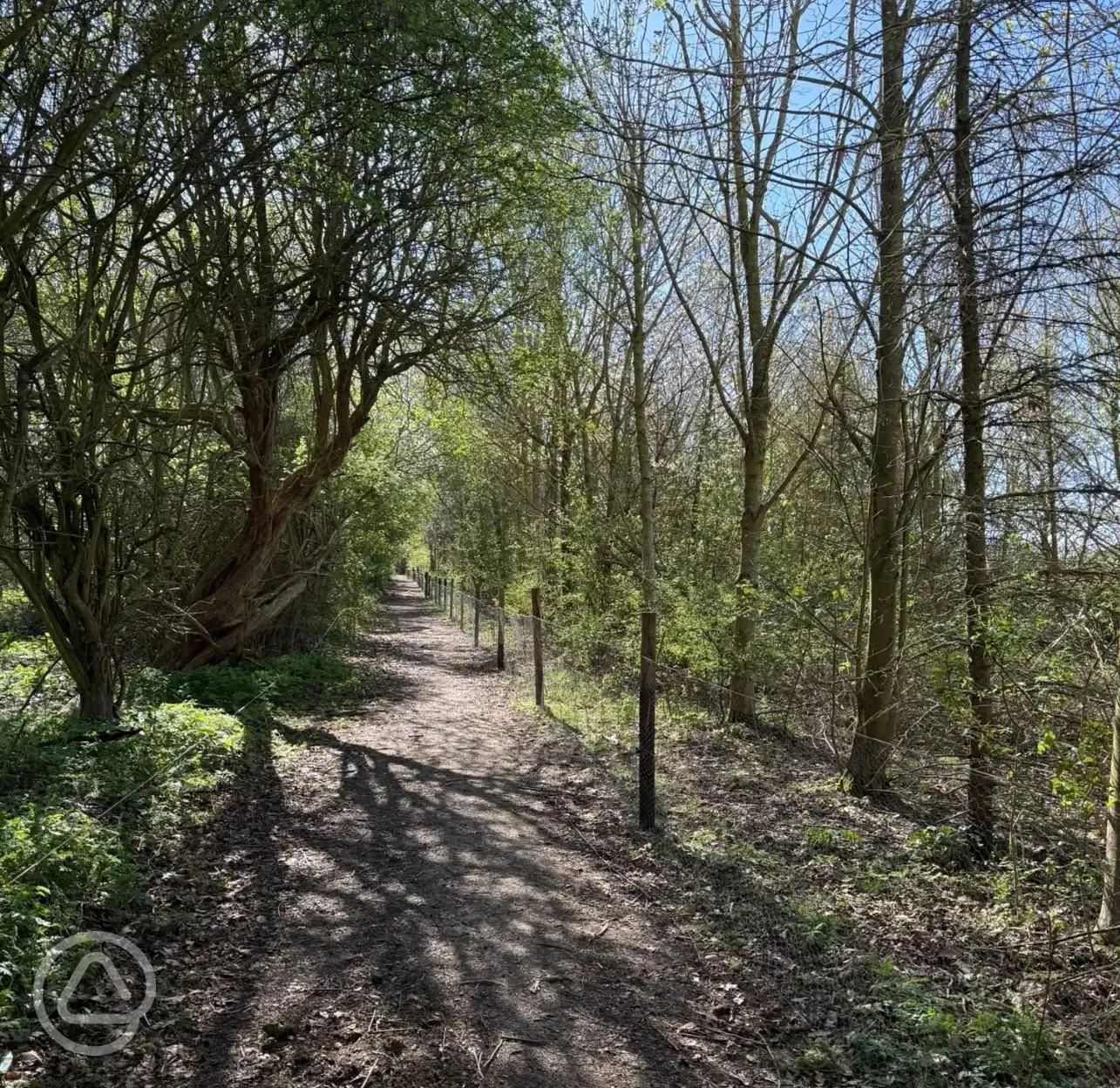 Surrounding trails
