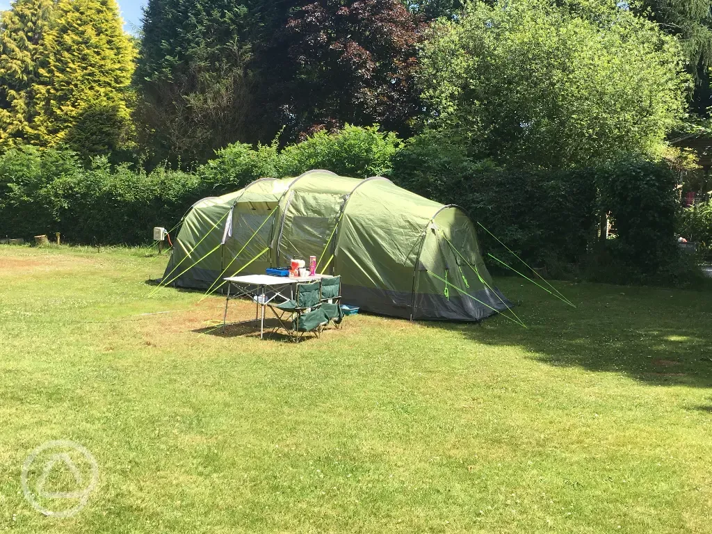 Grass tent camping at Ruthern Valley Holidays