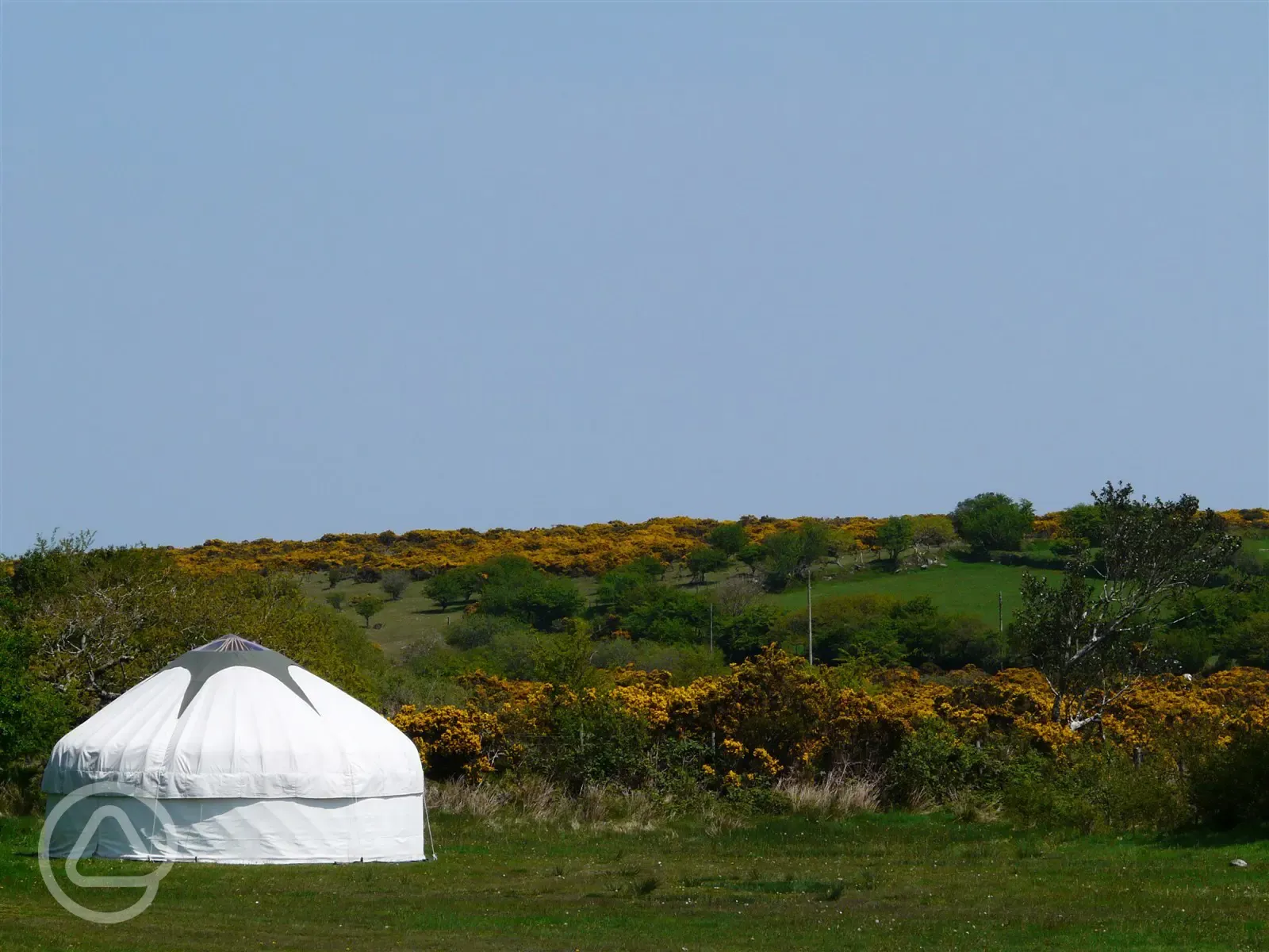 One of the yurts