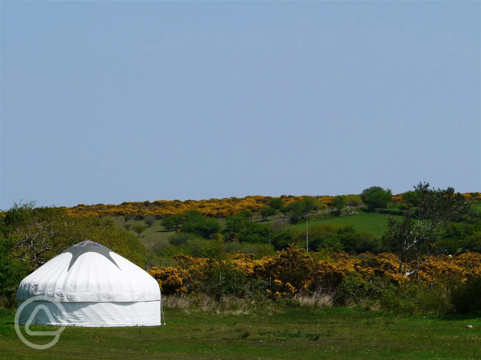 Yurts