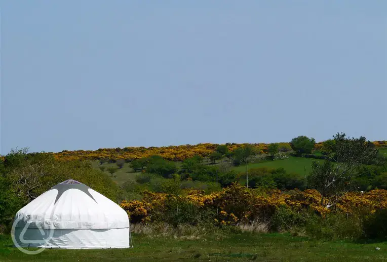 Yurts