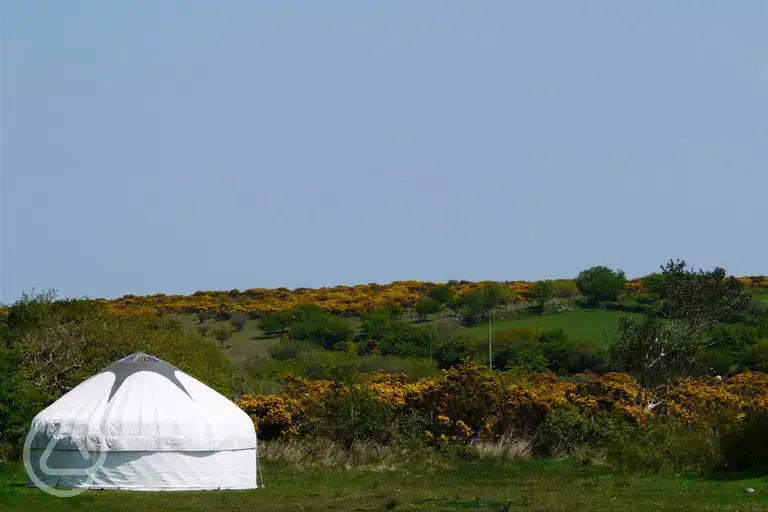 Yurts