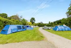 Grass pitches with optional 10 amp electric in the Middle Willow area