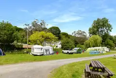 Middle Willow grass pitches with optional 10 amp electric