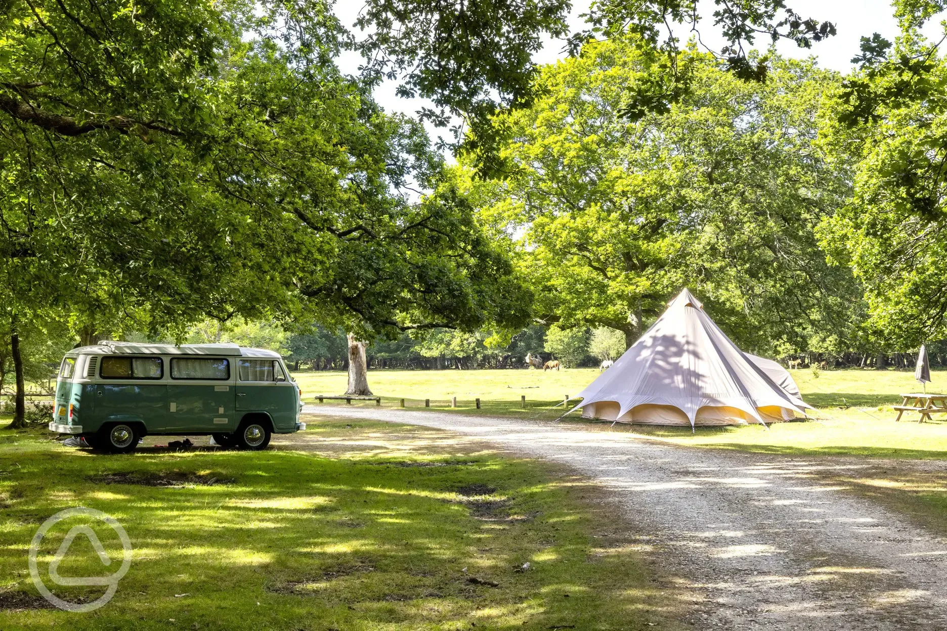 Bell tent and pitches