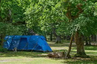 Ashurst Campsite, Ashurst, Hampshire