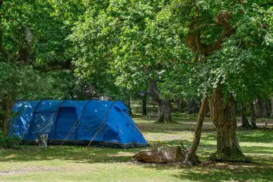 Ashurst Campsite